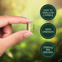 Lions Mane 2000mg with Black Pepper 180 Capsules - 6 months supply of High Strength Lions Mane from Beauty & Co Brand, 1 Capsule = 1 Serving, Vegan, Made in The UK.