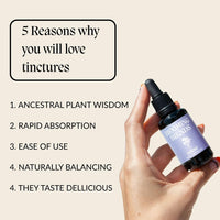 Defend Herbal Tincture - Natural Immunity Support - All-Natural Black Elderberry, Rosehip & Ginger Blend - Herbal Liquid Drops - Winter Comfort Supplement - 30ml, Blooming Blends