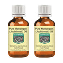 DEVPRAYAG Devprayag Pure Malkangani (Malkangni/Jyotishmati) Oil (Celastrus paniculatus) Natural Therapeutic Grade Cold Pressed (Pack of Two) 100ml x 2 (6.76 oz)
