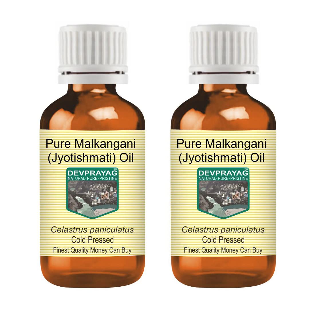 DEVPRAYAG Devprayag Pure Malkangani (Malkangni/Jyotishmati) Oil (Celastrus paniculatus) Natural Therapeutic Grade Cold Pressed (Pack of Two) 100ml x 2 (6.76 oz)