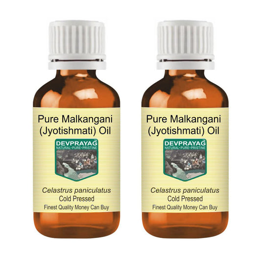 DEVPRAYAG Devprayag Pure Malkangani (Malkangni/Jyotishmati) Oil (Celastrus paniculatus) Natural Therapeutic Grade Cold Pressed (Pack of Two) 100ml x 2 (6.76 oz)