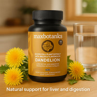 Max Botanics Dandelion Root Leaf Extract and Full Plant Profile Liver Detox Digestion & Vitality with Inulin and Flavonoids Vegan No Fillers or Binders UK Made 90 Capsules