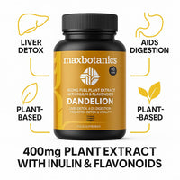 Max Botanics Dandelion Root Leaf Extract and Full Plant Profile Liver Detox Digestion & Vitality with Inulin and Flavonoids Vegan No Fillers or Binders UK Made 90 Capsules