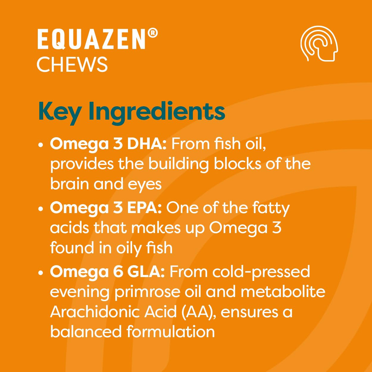 Equazen® Omega 3 & 6 Chews for Kids, Brain & Cognitive Support, DHA, EPA & GLA, Clinically Researched 9:3:1 Formula, Strawberry Flavour, Halal Certified, Age 3+, 360 Pack