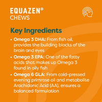 Equazen® Omega 3 & 6 Chews for Kids, Brain & Cognitive Support, DHA, EPA & GLA, Clinically Researched 9:3:1 Formula, Strawberry Flavour, Halal Certified, Age 3+, 360 Pack