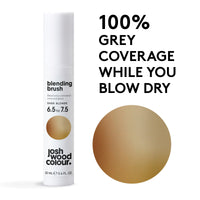Josh Wood Colour Dark Blonde Blending Brush Duo Bundle Grey Root Touch Up to Cover Regrowth in between Colouring, Temporary, WASHES OUT, Vegan, 2 Tubes