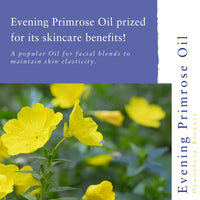 Absolute Aromas Evening Primrose (Oenothera Biennis) Oil 50ml - Pure, Natural, Cold-Pressed, GMO-Free Vegan and Cruelty Free – Moisturising Carrier Oil for Body and Facial Massage.