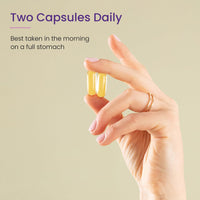 Proceive® Conception and Pregnancy Omega 3 - High Strength & Pure Fish Oil Tablets - 60 Capsules/1 Month Supply