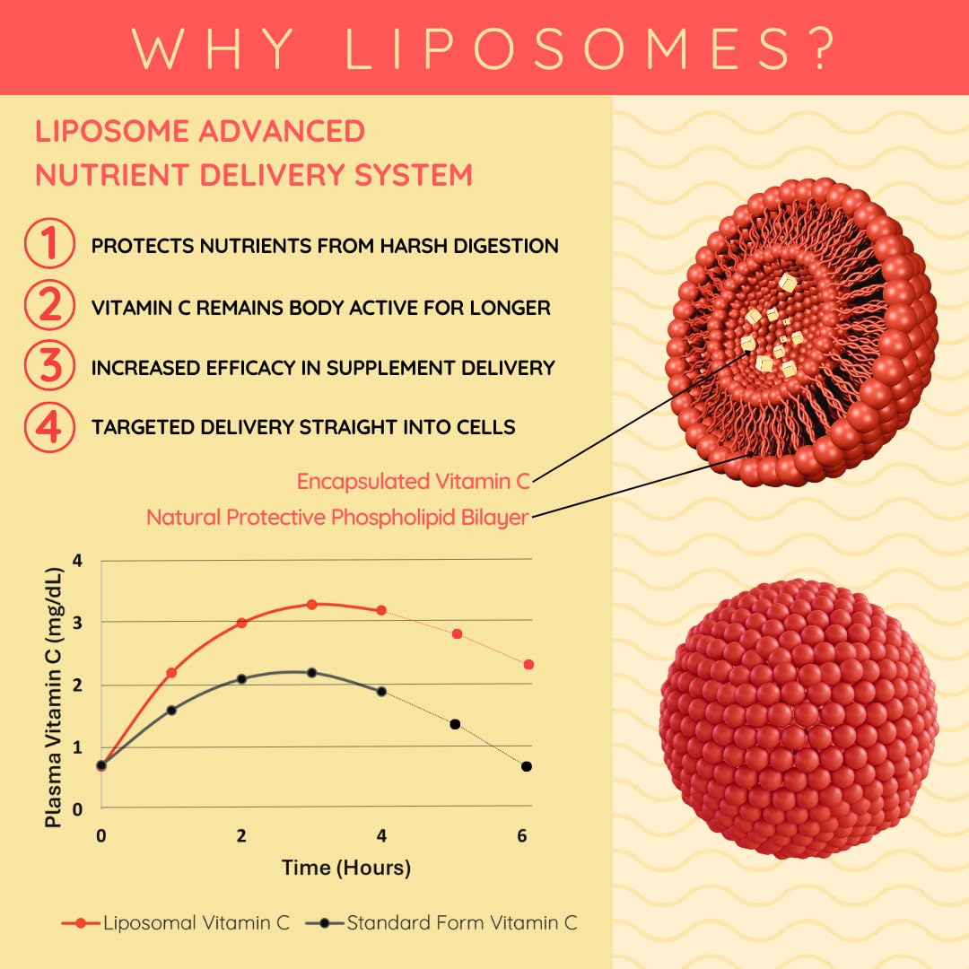 WELL ACTUALLY Liposomal Vitamin C 1000mg - High Bioavailability Powerful Liquid Vitamin C Supplement - Supports Immunity, Skin, Brain, Joints, Energy - Vegan (150ml - 30 Servings)