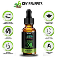 ETRONG Organic Castor Oil,Pure Cold Pressed Castor Oil for Eyebrows,Eyelashes,Hair Growth,Nails,and Skin with 5 Sets of Eyebrow&Eyeliner Brushes (30ml)