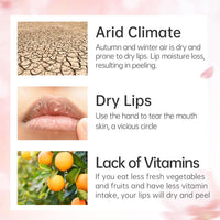 CATKIN Ultra Nourish Lip Balm for Dry & Chapped Lips, Hydrating Lip Balm with Avocado Butter for 12h Moisture 3g C01