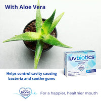 Luvbiotics Sugar-Free Lozenges with Probiotics & Xylitol and Aloe Vera Promotes Good Bacteria for Fresh Breath, Healthy Gums and Cavity Protection. Mint, Pack of 30