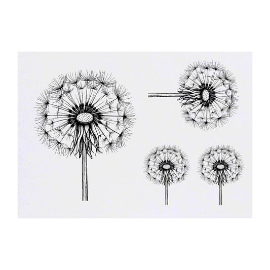 Azeeda 4 x 'Single Dandelion' Temporary Tattoos - Water Resistant, Skin-Safe, Non-Toxic Transfers, Mixed Sizes (TO00083792)