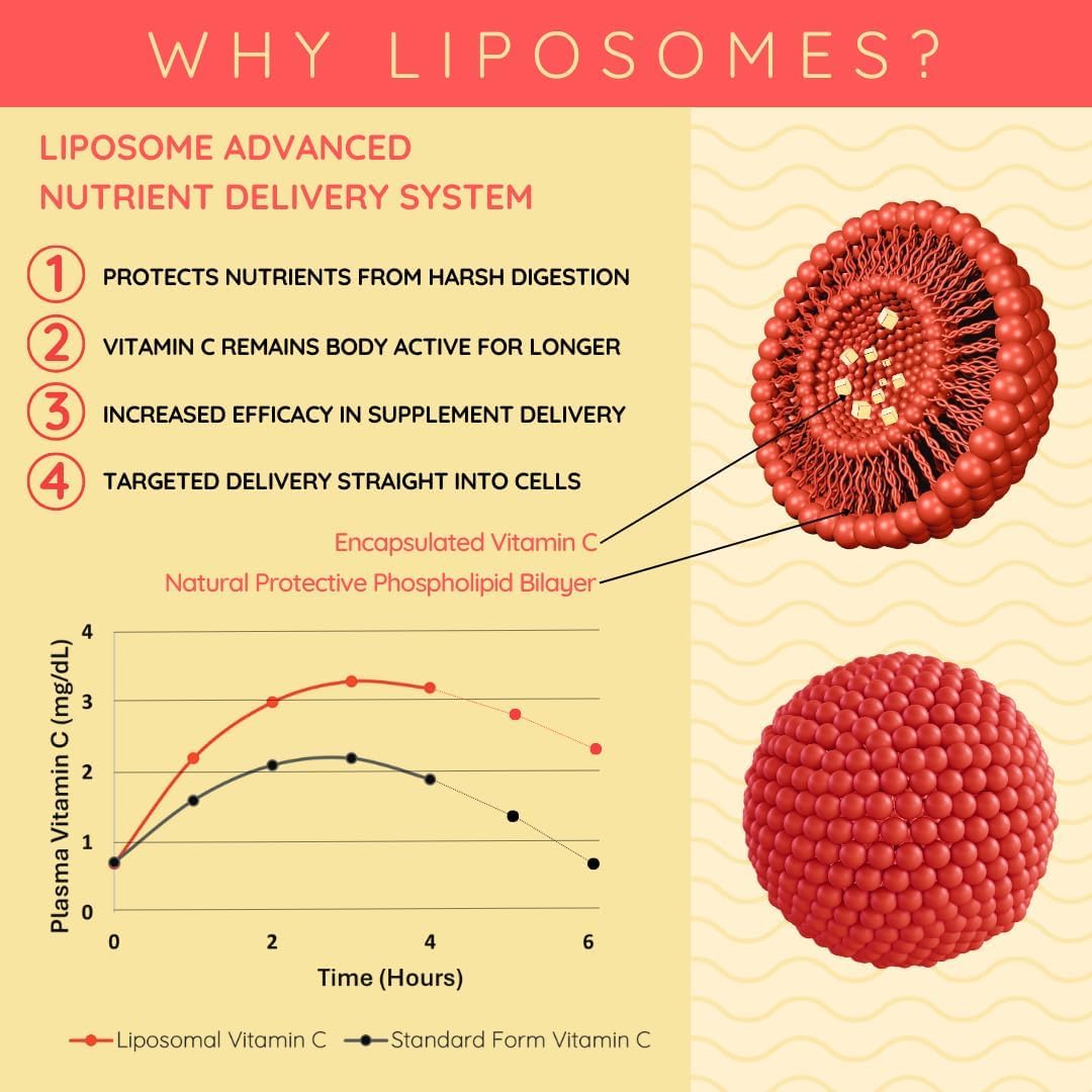 well actually WELL ACTUALLY Liposomal Vitamin C 1000mg - High Bioavailability Powerful Liquid Vitamin C Supplement - Supports Immunity, Skin, Brain, Joints, Energy - Vegan (250ml - 50 Servings)