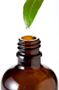Generic Handmade Comfrey Leaf Salve 120ml – Made in North Yorkshire – All-Natural Ingredients: Comfrey Oil, Sunflower Oil, Beeswax, Vitamin E (120ml)