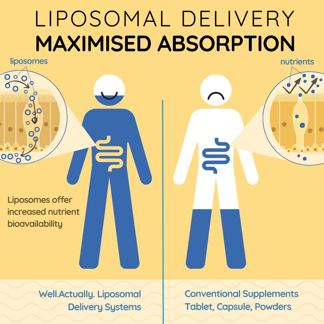 WELL ACTUALLY Liposomal Vitamin D3 + K2 Liquid Pipette - High Absorption Vegan Vitamin D3 4000 IU & Vitamin K2-7 160mcg as Menaquinone-7 MK-7 - Summer Citrus (up to 120 Servings)