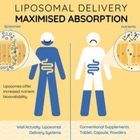 WELL ACTUALLY Liposomal Vitamin D3 + K2 Liquid Pipette - High Absorption Vegan Vitamin D3 4000 IU & Vitamin K2-7 160mcg as Menaquinone-7 MK-7 - Summer Citrus (up to 120 Servings)