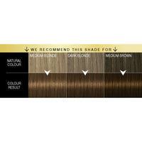 Schwarzkopf Oleo Intense Brown Hair Dye, 3-Pack Permanent Oil Colour, No Ammonia, Covers Greys, Gold Brown 4-60