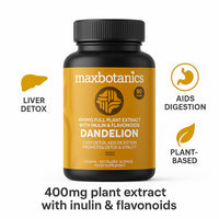 Max Botanics Dandelion Root Leaf Extract and Full Plant Profile Liver Detox Digestion & Vitality with Inulin and Flavonoids Vegan No Fillers or Binders UK Made 90 Capsules