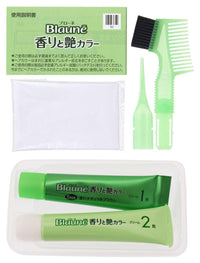 Kao Blaune Fragrant And Gloss Color Cream 5NA Deep Natural Brown