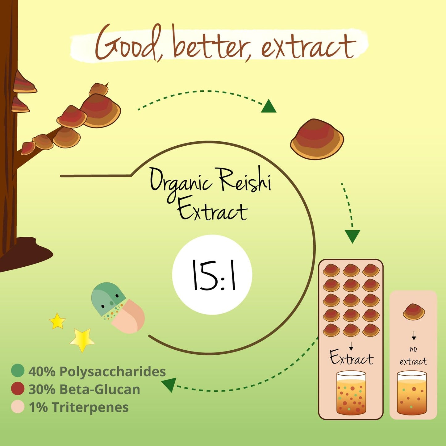 Vegavero Organic Reishi Extract | 8400 mg (14:1) Ganoderma Lucidum | with Polysaccharides & Beta Glucans | Mushroom Supplement | 90 Capsules | Vegan
