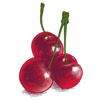 Burt's Bees Burtâ€™s Bees Wild Cherry Lip Balm