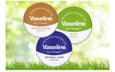 Generic Vaseline Petroleum Jelly Lip Balms - THREE 20g Pocket Size Tins - Aloe Vera, Cocoa Butter, Original, Lip Repair Therapy Protects Dry Cracked