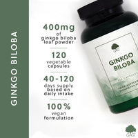 Ginkgo Biloba Capsules | 400mg of Ginkgo Biloba per Capsule | 120 Vegan Capsules | G&G Vitamins
