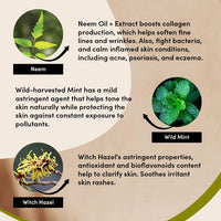 Urban Veda Purifying Face Wash with Neem | Oily Skin Face Wash with Spearmint | Tea Tree Oil for Acne Treatment | Acne Facewash with Ecualyptus Oil | Women & Mens FaceWash for Skin Care | 150 ml
