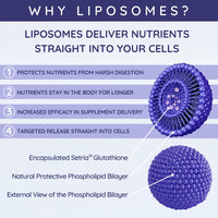 well actually WELL ACTUALLY Pure Liposomal Glutathione 500mg, 50 Servings, 250ml, Vegan