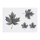Azeeda 4 x 'Maple Leaf' Temporary Tattoos - Water Resistant, Skin-Safe, Non-Toxic Transfers, Mixed Sizes (TO00084570)