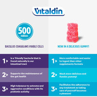 Vitaldin VITALDIN Probiotic Gummies – 500 Million CFU Bacillus Coagulans per Serving – 60 Chewable Gummies (1-Month Supply); Assorted Fruit Flavours – Digestive Support – Gluten Free – for Children & Adults