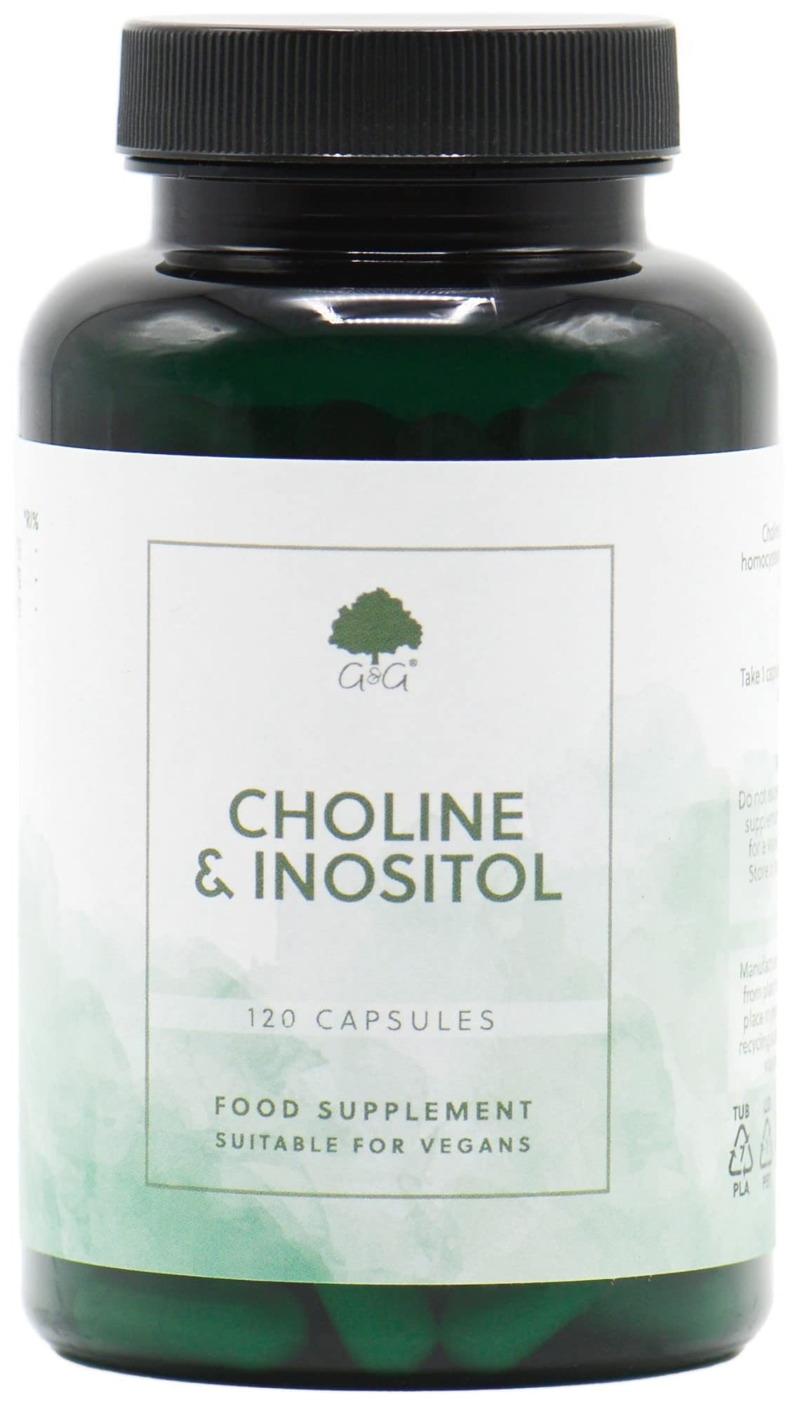Choline (Bitartrate) & Inositol Capsules | 250mg Choline & 250mg Inositol per Capsule | 120 Vegan Capsules | G&G Vitamins