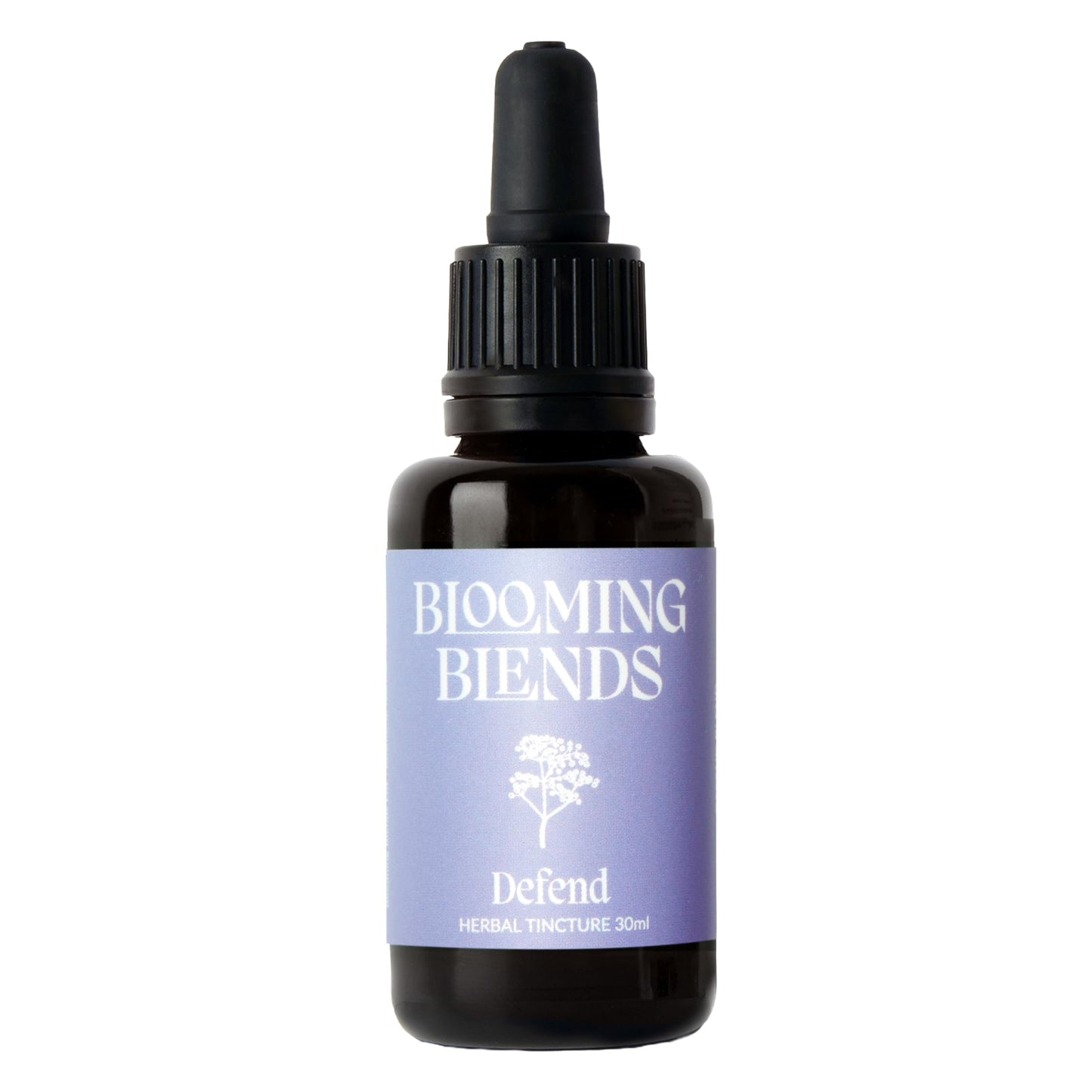 Defend Herbal Tincture - Natural Immunity Support - All-Natural Black Elderberry, Rosehip & Ginger Blend - Herbal Liquid Drops - Winter Comfort Supplement - 30ml, Blooming Blends