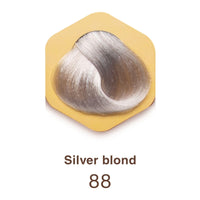 Color time COLOR TIME | Permanent Gel Hair Dye Silver Blonde Color 88 | Enriched with Royal Jelly and Vitamin C | Permanent Hair Color | Covers Gray Hair | 100 ML