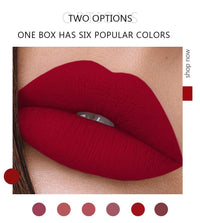 HQDA 6 Pcs Matte Liquid Lipstick Set Nude Lip Gloss Non-Stick Cup Not Fade Waterproof Long Lasting Lip Sticks Gift For Make Up Women (Set C)