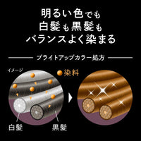 Kao Blaune Lumiest Hair Color Gray Hair Dye 1WB Warm Brown