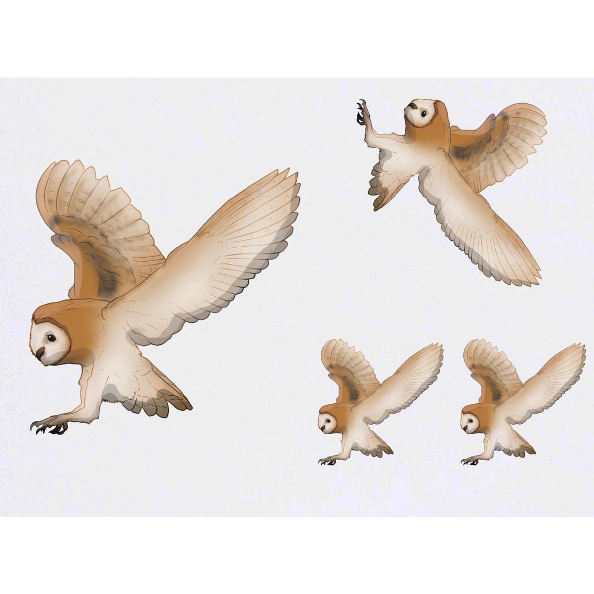 Azeeda 4 x 'Flying Barn Owl' Temporary Tattoos - Water Resistant, Skin-Safe, Non-Toxic Transfers, Mixed Sizes (TO00080668)