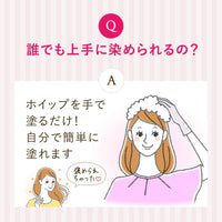 Hoyu Beautylabo Whip Hair Color - Monotone Gray