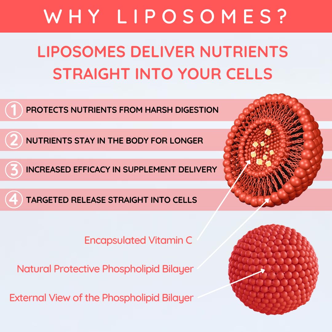 well actually WELL ACTUALLY Liposomal Vitamin C 1000mg - (150ml - 30 Servings) High Strength Liquid Liposomal Vitamin C Supplement - Supports Immunity, Skin, Brain, Joints, Energy - Vegan, Fruit Fusion