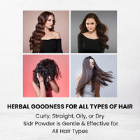 Hebhac Herbs Sidr Powder 227g | 100% Natural | Ideal for Skincare & Haircare | Nourishing hair and skin | Pure and fresh | Versatile Beauty Ingredient