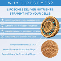 well actually WELL ACTUALLY Liposomal Vitamin D3 4000 IU + K2 MK-7 160mcg Liquid Drops - High Strength Vegan VIT D3 K2 Supplement - Immune & Bone Support - 120 Servings | Summer Citrus