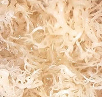 Organic Irish Sea Moss Capsules | 60 Vegan Capsules | GMO Free | Gordon Watkins Exclusive Botanical Blend (Ginseng)