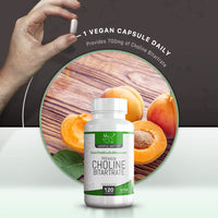 Mindful Matter MM Choline | 120 High Strength Vegan Choline-Supplement Capsules - 700mg Coline Bitartrate per Serving | Non-GMO, Gluten & Allergen Free | Manufactured in the UK