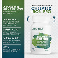 AMBROSIAL Ambrosial Chelated Iron Pro with Vitamin C, B12, Folic Acid & Zinc – Gentle on Stomach | Iron Supplement for Daily Use | 120 Veg Tablets