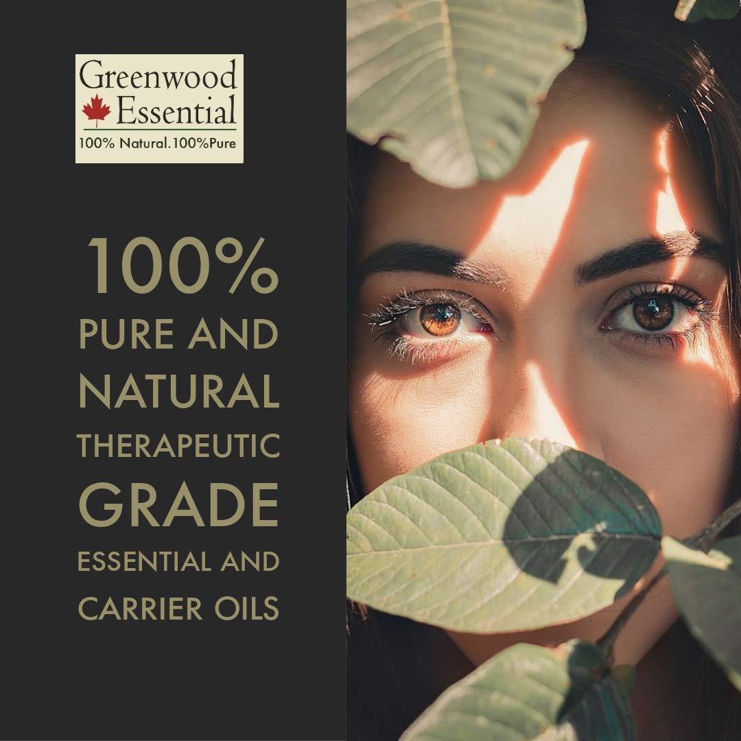 Greenwood Essential Pure Liquorice (Licorice) Oil (Glycyrrhiza glabra) with Glass Dropper Premium Therapeutic Grade for Hair, Skin & Aromatherapy 30ml (1.01 oz)