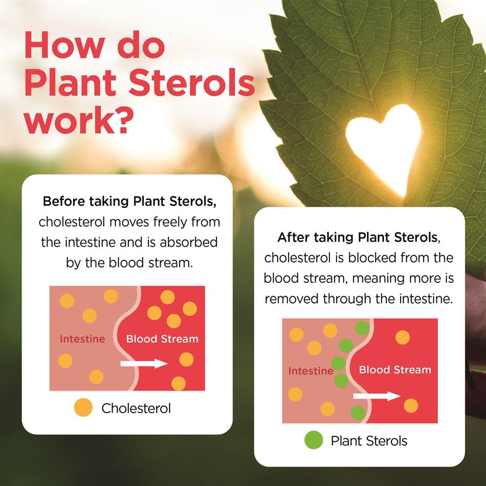 Vita Pharma VITA PHARMA Plant Sterols 1000mg 60 Tablets, Balanced Lipid Levels, Circulatory Health, Healthy Cholesterol Levels, Heart Wellness
