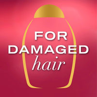 OGX 5in1 Benefits Frizz Free with Keratin & Argan Oil Shampoo, Strengthens and Improves Flexibility, Tames Frizz and Adds Shine, Sulfate Free, 385ml