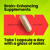 Schisandra Berry 500mg | High Strength Schisandra Supplement | Schisandrins Berry Extract | Boost Brain Function, Improve Mood, Protect Brain Health | 120 Vegan Capsules | 4-Month Supply | Fitimins