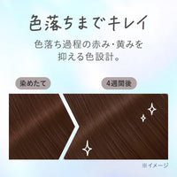 Liese Kao Tint Hair Color Gel Mocha Greige